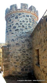 stello di Nelson-15-09-2014 07-49-05